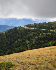 Landscape photo of Hurricane Ridge at Olympic National Park in W