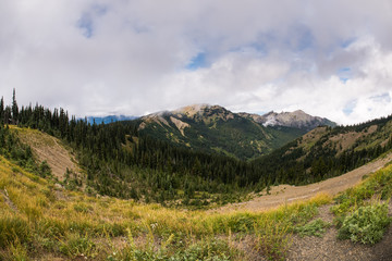 Fototapeta premium Landscape photo of Hurricane Ridge at Olympic National Park in W