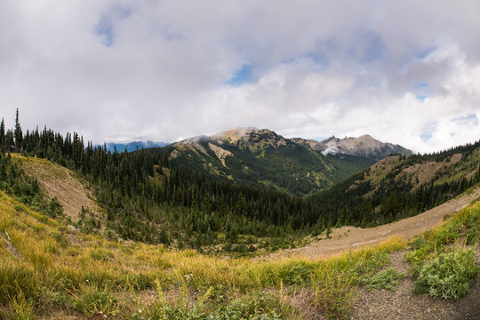 Landscape photo of Hurricane Ridge at Olympic National Park in W