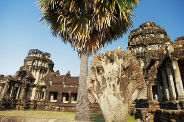 Obraz premium Angkor Wat, Cambodia