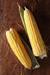 yellow sweet corn.
