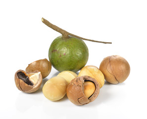 macadamia nuts isolated on white background