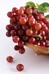 red grape