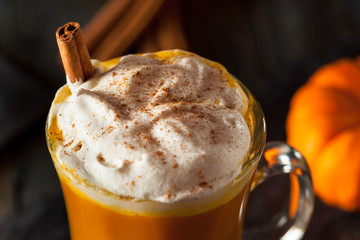 Homemade Thanksgiving Boozy Pumpkin Cocktail