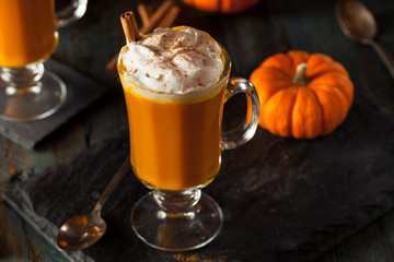 Homemade Thanksgiving Boozy Pumpkin Cocktail