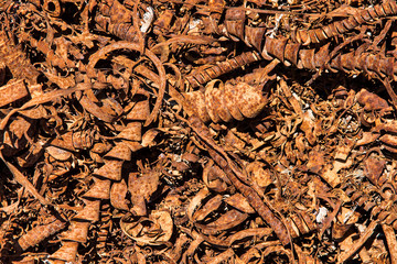 Background of rusty metal shavings