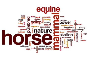 Horse word cloud concept