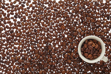 コーヒー豆