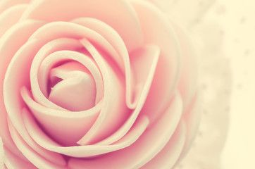 Center pink rose.