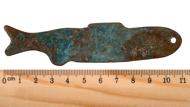 Ancient bronze coins in the form of fish Zhou Dynasty. China. Isolated on white