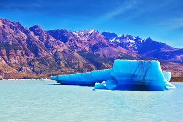 The  icebergs float near a ship board