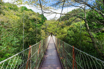 Obraz premium Suspension bridge of the Surugadaira nature park,Shizuoka Japan