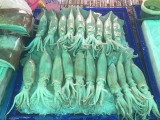 night market © olgalisa88