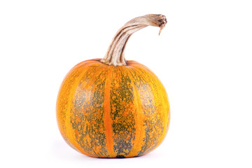 Beautiful autumn composition