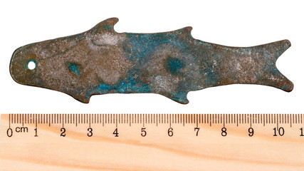 Ancient bronze coins in the form of fish Zhou Dynasty. China. Isolated on white © sytilin