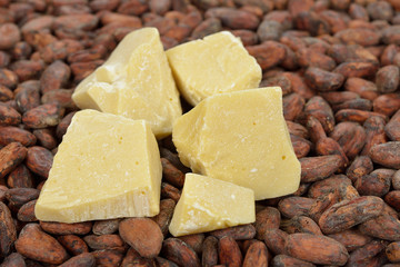 Organic cocoa butter