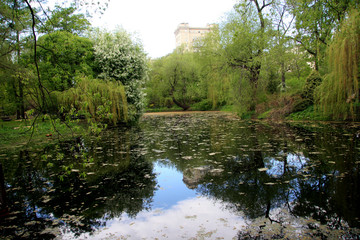 Pool / Lake in a city park in Moscow