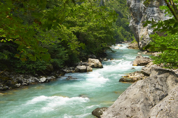 The mountain river flowing among the rocks in summer