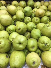 Fragrant pear group.