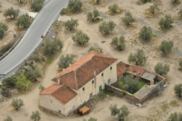 The farm on the road in an olive orchard