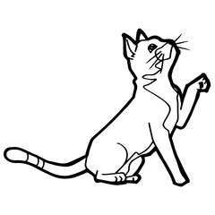 cartoon Cat Coloring Page for kid isolated on white 
