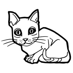 cartoon Cat Coloring Page for kid isolated on white 

