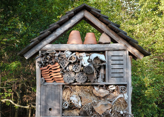 ruche insecte maison cabane habitat rûche nicher