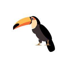 Toucan. Vector Illustration