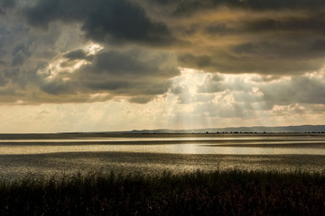 Reflection at sunset on the lagoon / Reflections at sunset on the lagoon in Sardinia. In the...
