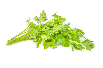 Green leaves of parsley isolated on white background