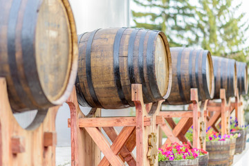 Wood wine barrels at a winery aligned in row