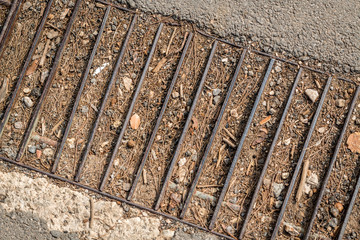 Metal bars filled with soil