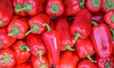 Many red big shiny peppers, close up