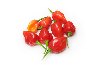 Heap of ripe red peppers