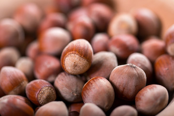 Fresh brown hazelnut as background in closeup