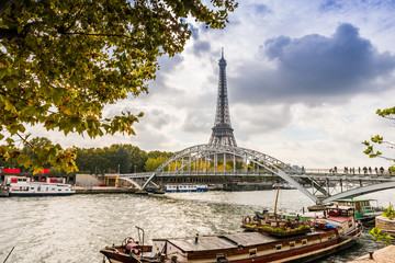Fototapeta na wymiar La Seine et la Tour Eiffel, Paris