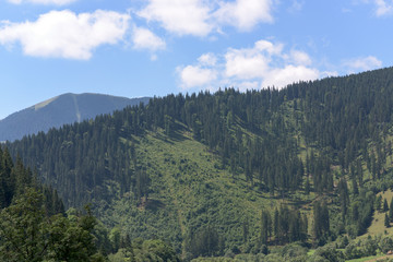 Beautiful mountain landscape in Romania at Vatra Dornei