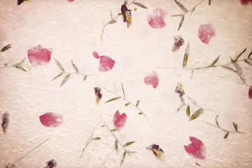 Mulberry paper background