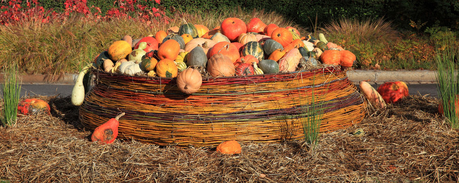 citrouilles de la f&ecirc;te d'Halloween