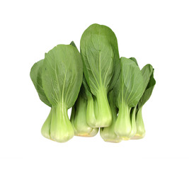 chinese cabbage isolated on white background