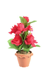 The artificial  flower in the pot on white background