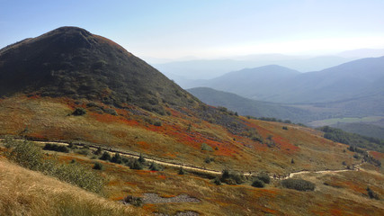 Bieszczady, szlak na Tarnicę