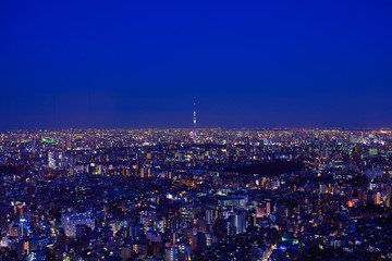 Obraz premium 東京のビル群とスカイツリーの夜景
