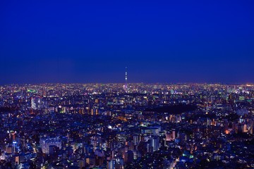 東京のビル群とスカイツリーの夜景