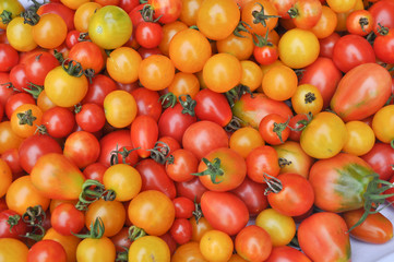 Cherry tomato vegetables