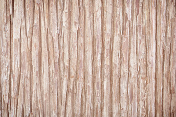 Tree bark texture background