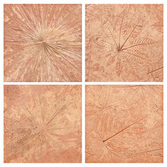 marks of leaf on the concrete