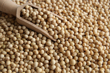 soybeans with wooden scoop