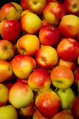 Äpfel pilnova

