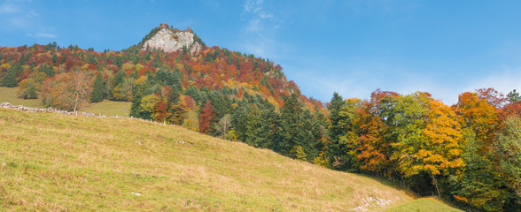 Magnificent paints of the autumn landscape.